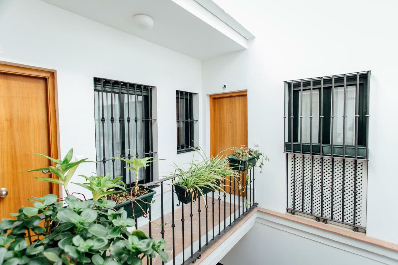 Bright Duplex W/ Terrace Apartment Seville Ngoại thất bức ảnh